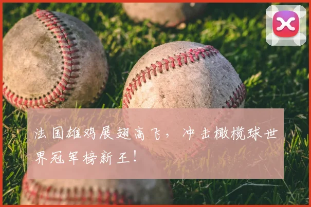 法国雄鸡展翅高飞,冲击橄榄球世界冠军榜新王!