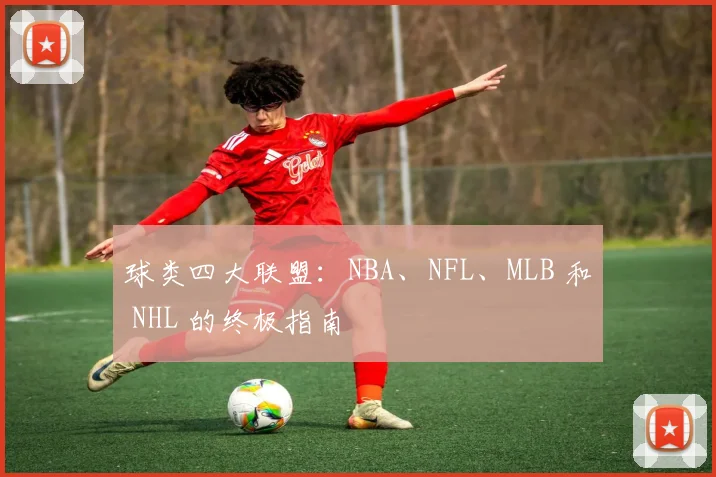 球类四大联盟:NBA、NFL、MLB 和 NHL 的终极指南
