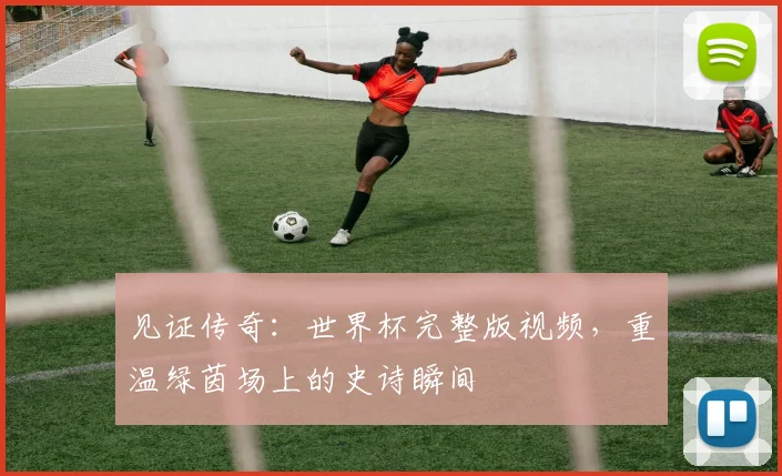 见证传奇:世界杯完整版视频,重温绿茵场上的史诗瞬间