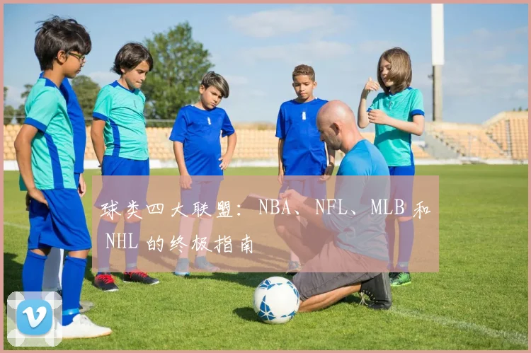 球类四大联盟:NBA、NFL、MLB 和 NHL 的终极指南